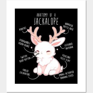 Jackalope Anatomy Posters and Art